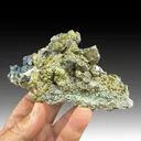 Chalcopyrite with Andradite, Pyrite - image 1
