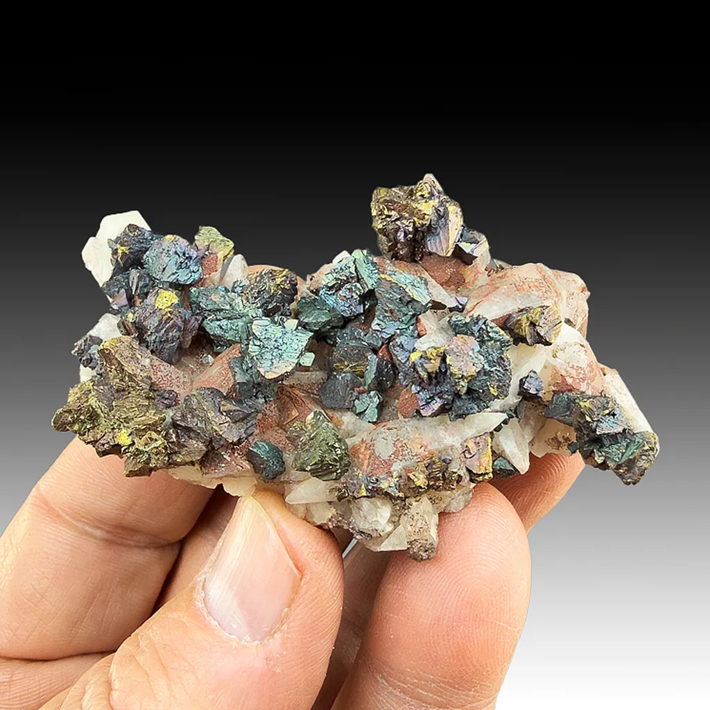 Chalcopyrite with Calcite, Hematite image