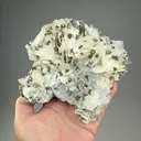 Chalcopyrite with Calcite, Quartz - image 2