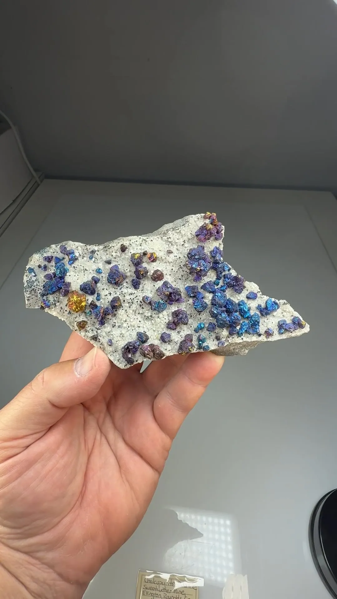 Chalcopyrite with Dolomite (1704) - image 2