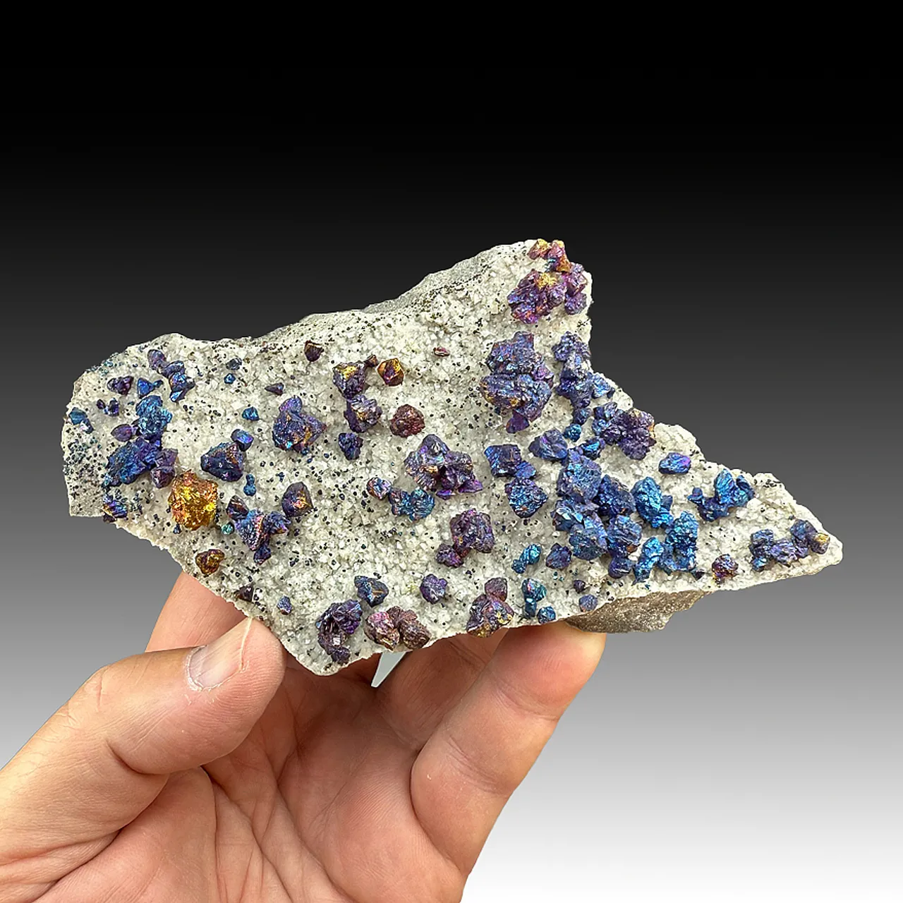 Chalcopyrite with Dolomite (1704) - image 1