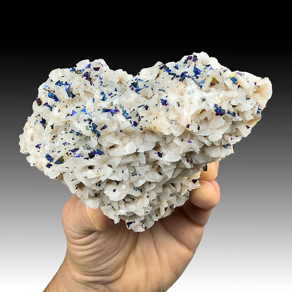 Chalcopyrite with Dolomite, Galena image