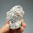 Chalcopyrite with Dolomite, Galena - image 1