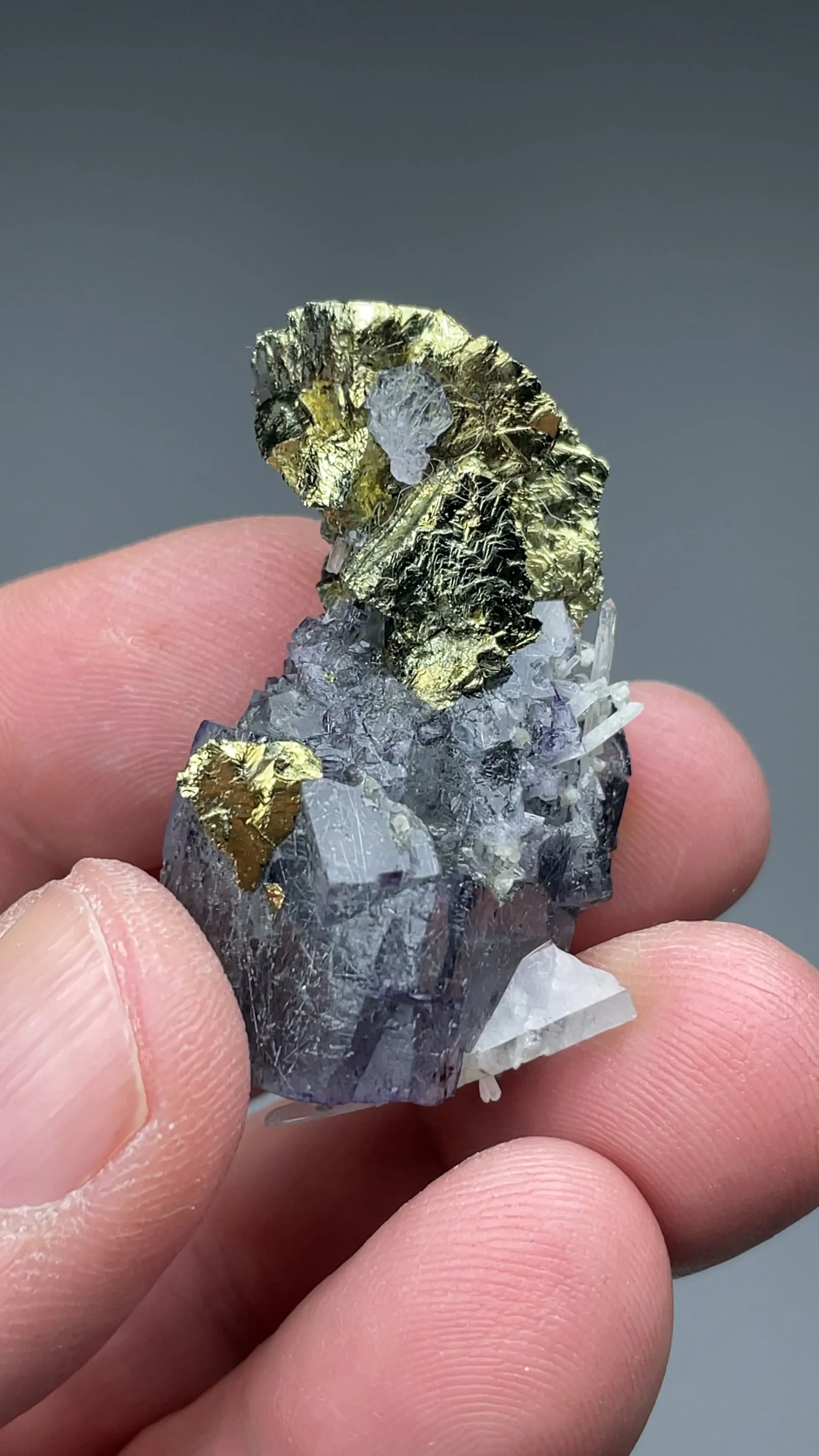 Chalcopyrite with Fluorite, Jamesonite inclusions - image 2