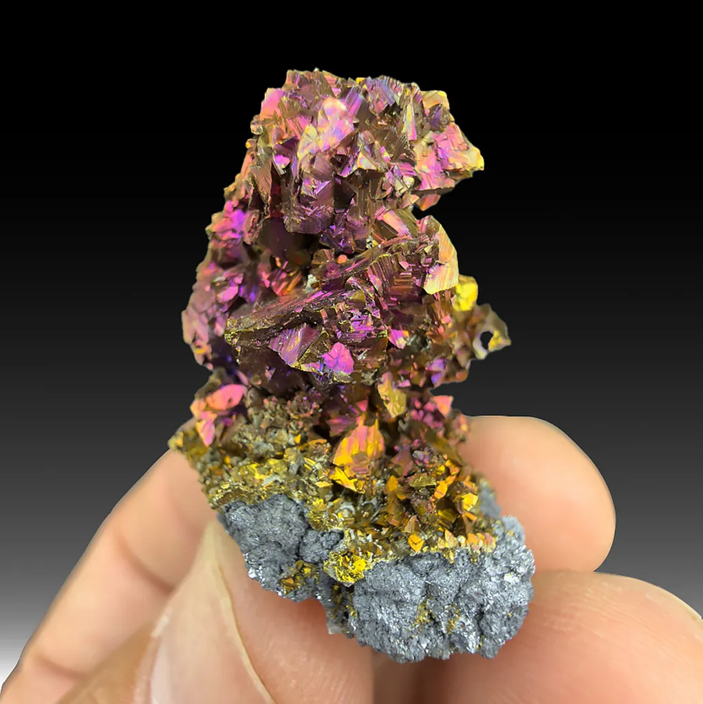 Chalcopyrite with Galena image
