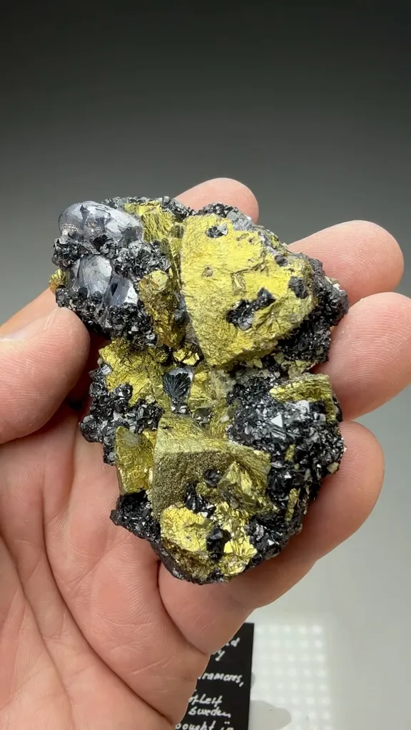 Chalcopyrite with Galena, Sphalerite, Semseyite - image 2