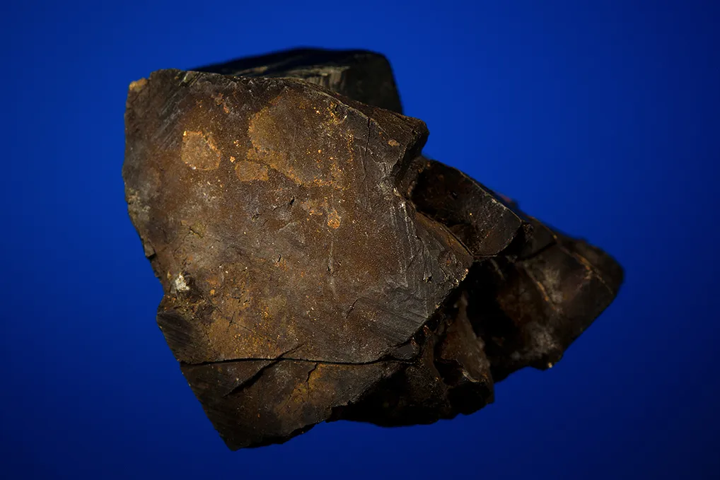 Chalcopyrite with Pyrite - image 2