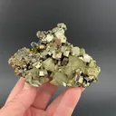 Chalcopyrite with Pyrite - image 1