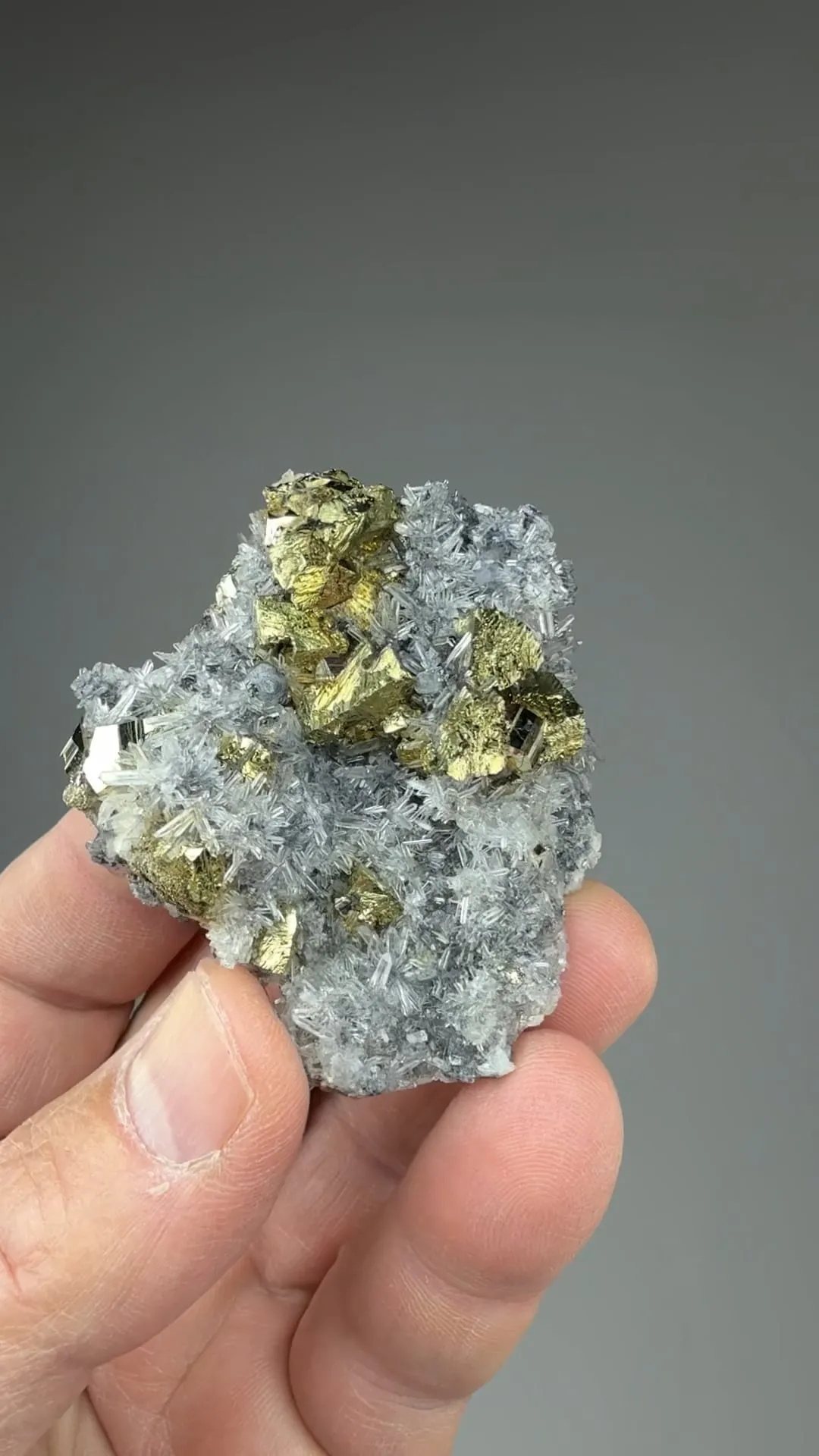 Chalcopyrite with Quartz, Pyrite - image 2