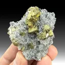 Chalcopyrite with Quartz, Pyrite - image 1