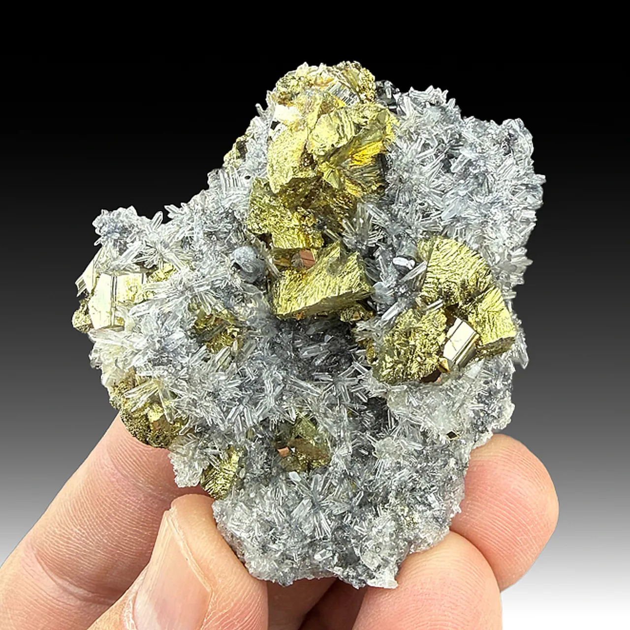 Chalcopyrite with Quartz, Pyrite - image 1