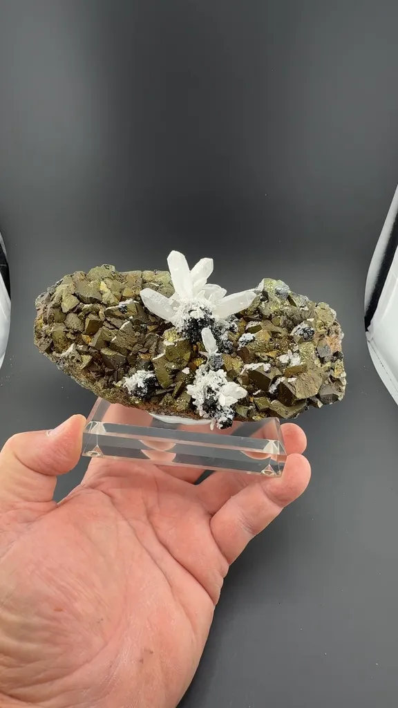 Chalcopyrite with Quartz, Sphalerite image