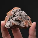 Chalcopyrite with Sphalerite on BARYTE and Dolomite - image 2