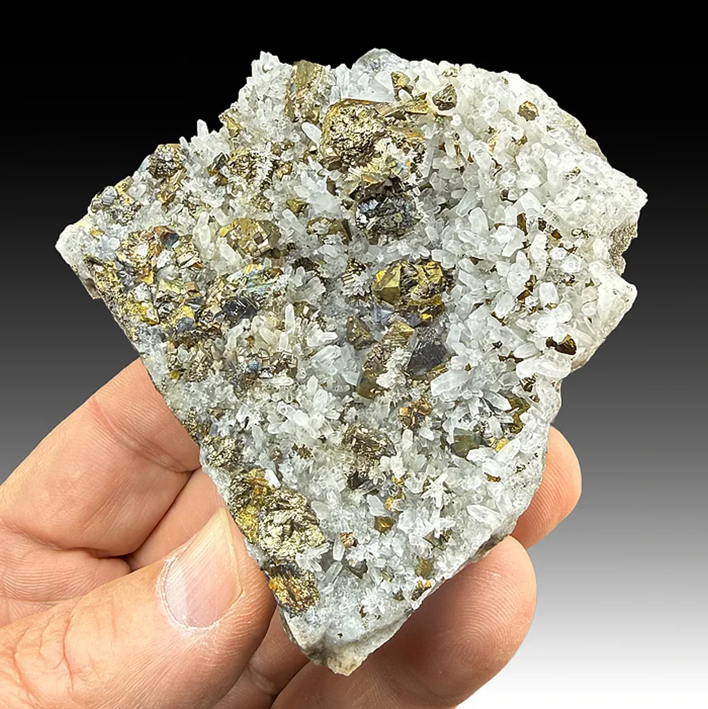 Chalcopyrite with Sphalerite, Quartz image