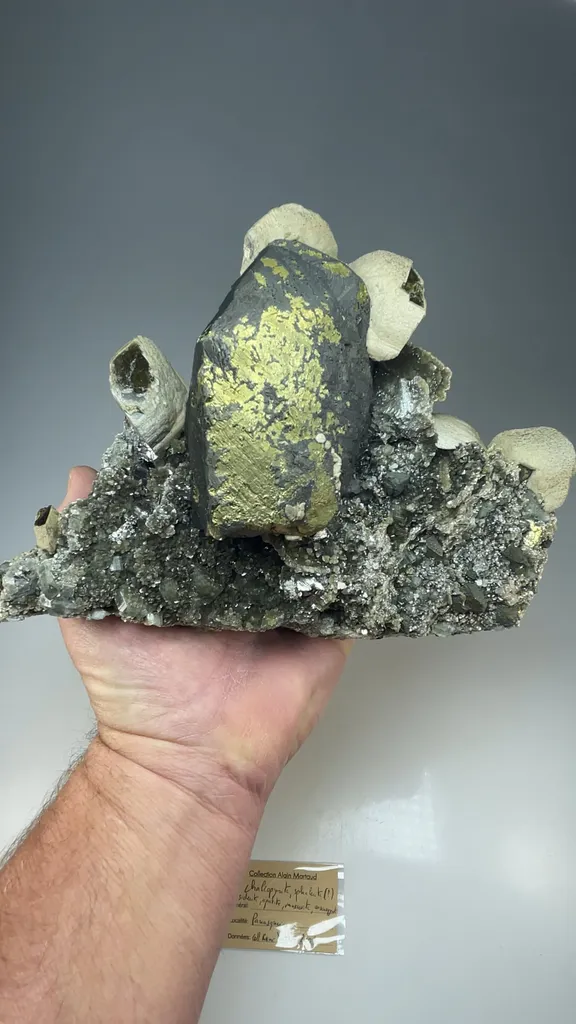 Chalcopyrite with Stannite, Siderite, Fluorapatite, Muscovite, Arsenopyrite - image 2