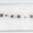 Chambersite - image 2