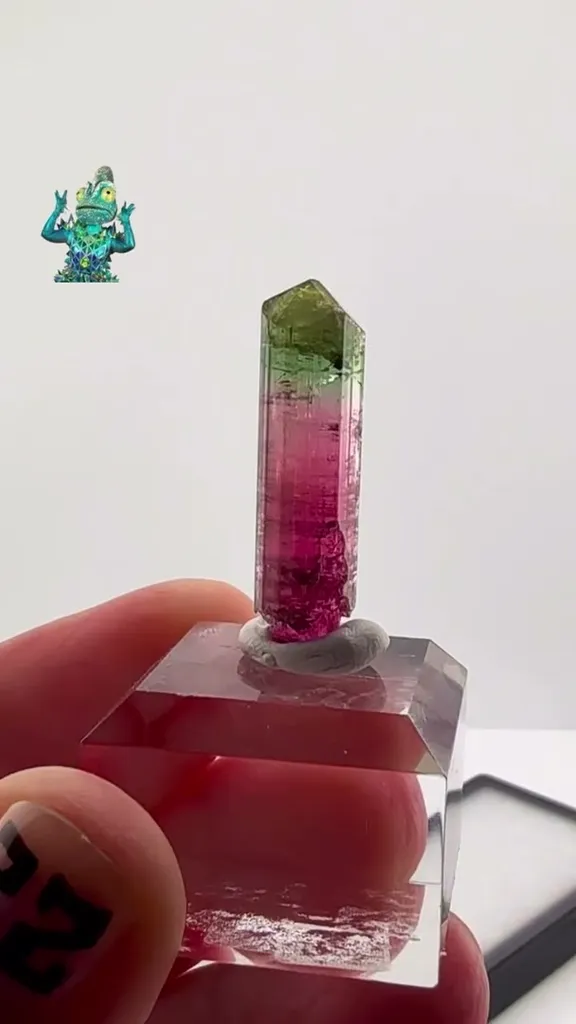 Chameleon Pocket Tourmaline Magic image