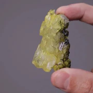 'CHARLESITE'