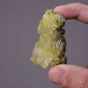 'CHARLESITE' - image 2