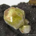 Charlesite With Ettringite - image 2