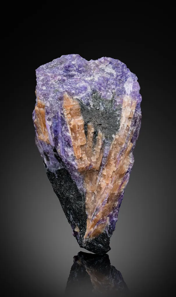 Charoite with Tinaksite and Aegirine image