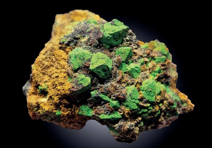 Chenevixite, Cuprite image