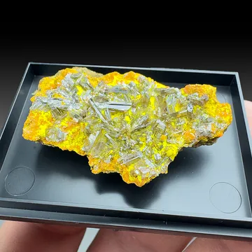 Chervetite with Francevillite