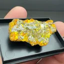 Chervetite with Francevillite - image 2