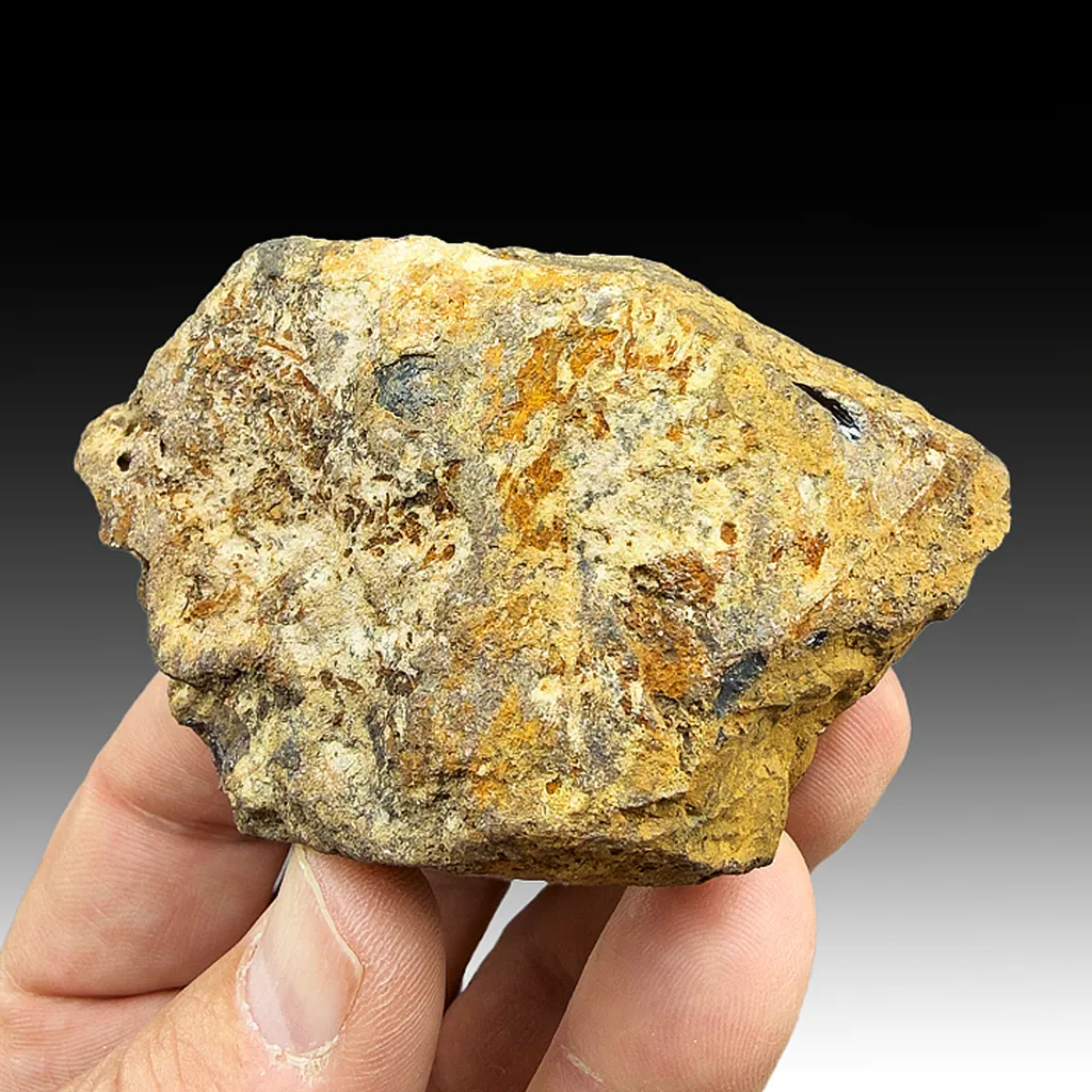Chevkinite-Ce image