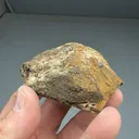 Chevkinite-Ce - image 2