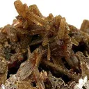 Childrenite (2 Habits!) - image 2