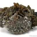 Childrenite (2 Habits!) - image 1