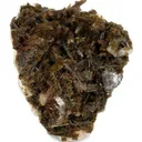 Childrenite (2 Habits!) - image 2