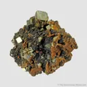 Childrenite (TL - mid 1800s) with Pyrite and Siderite - image 1