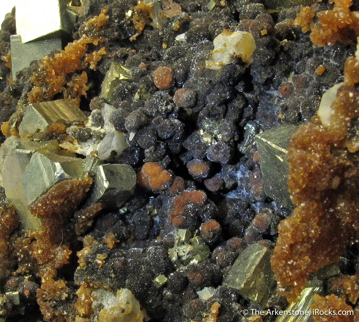 Childrenite (TL - mid 1800s) with Pyrite and Siderite - image 2