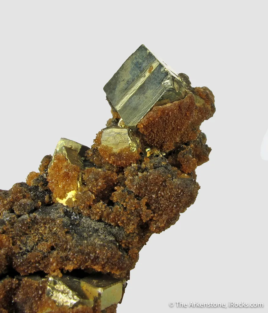 Childrenite (TL - mid 1800s) with Pyrite and Siderite - image 4