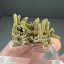 Childrenite with Roscherite - image 2