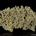 Chlorargyrite - image 2
