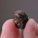 Chlorargyrite - image 2