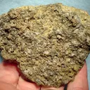 Chlorargyrite (Var: Bromian Chlorargyrite) - image 1