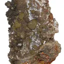 Chlorargyrite With Iodargyrite (Albert Chapman Coll.) - image 2