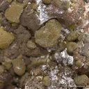 Chlorargyrite With Iodargyrite (Albert Chapman Coll.) - image 4