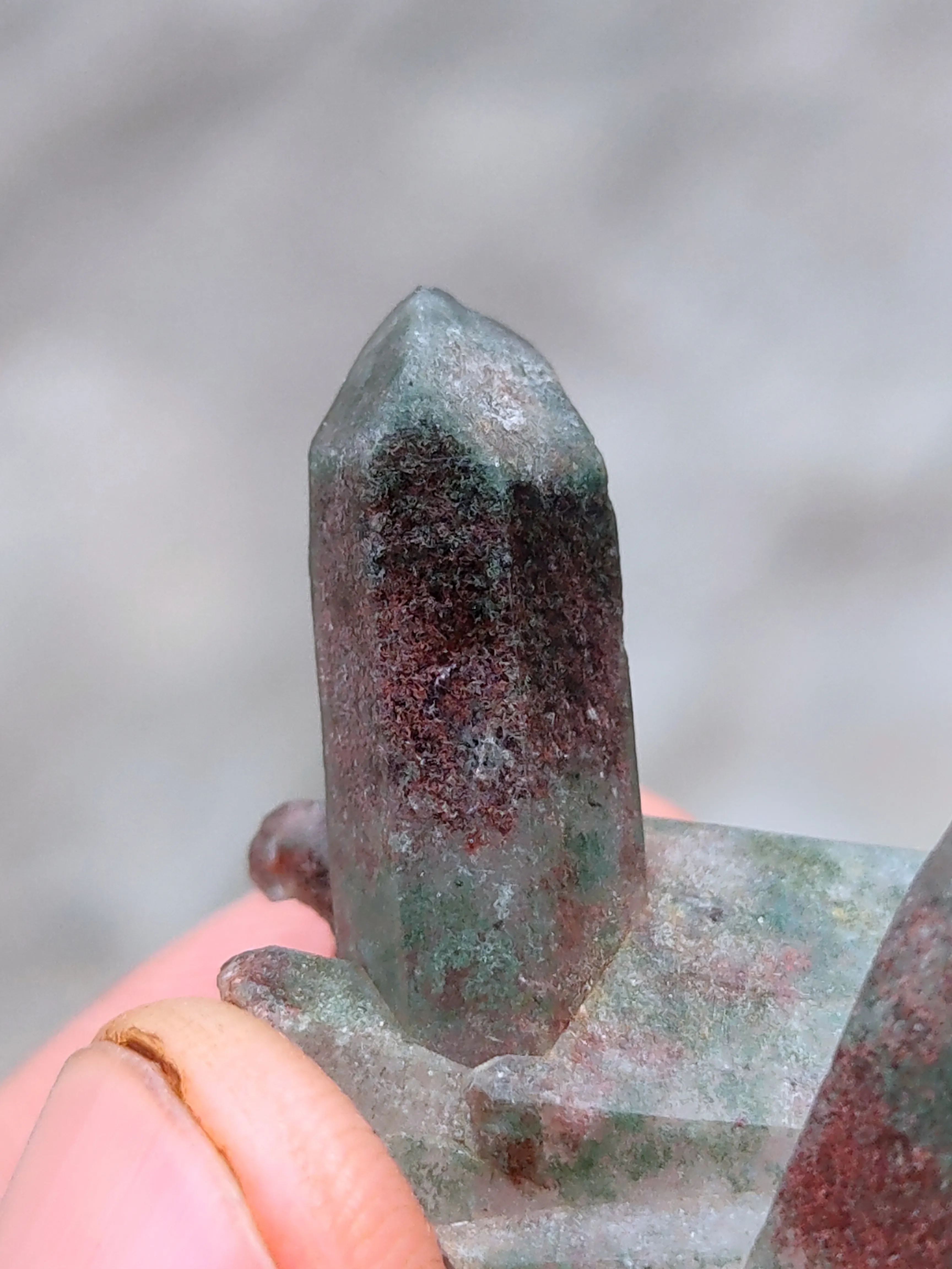 Chlorite Garden Phantom Himalayan Crystal  from India, Himachal Pradesh, Kullu valley - image 6