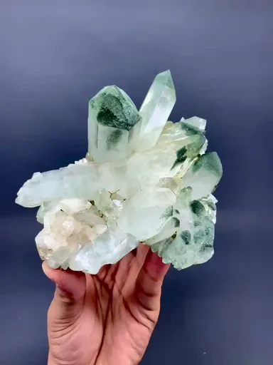 specimen video