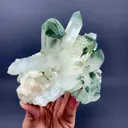 specimen video