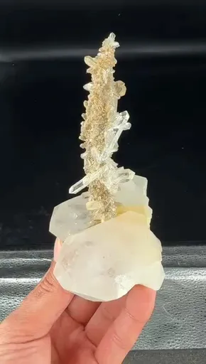 specimen video