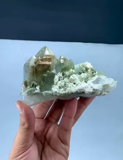 specimen video