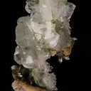 specimen video