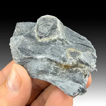 Chloritoid