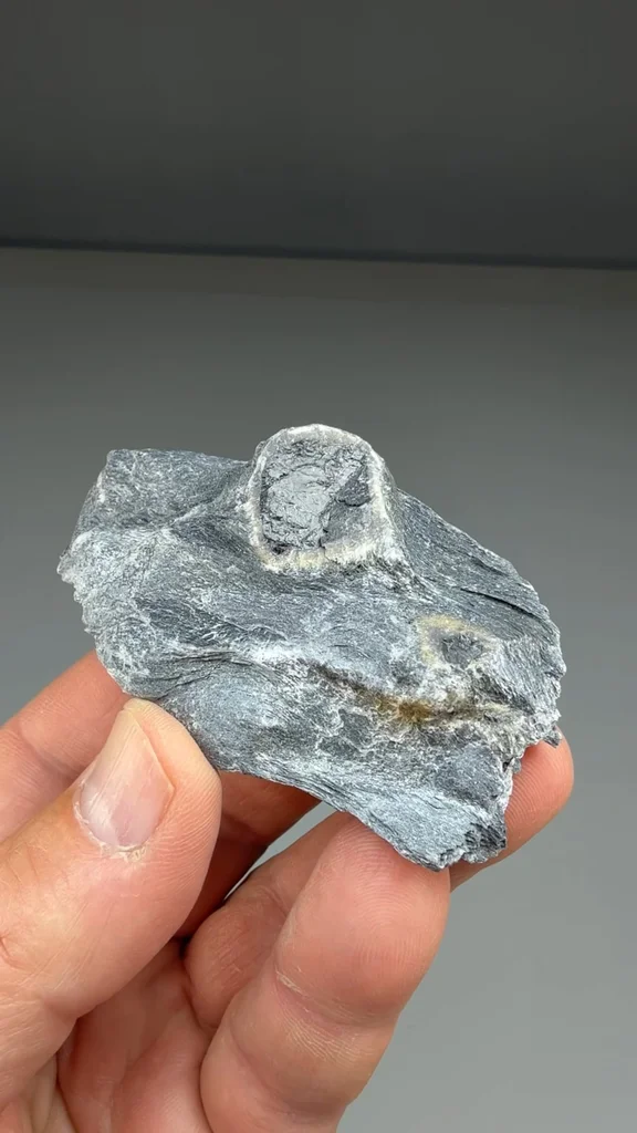 Chloritoid from Marquette County, Michigan, USA - image 2